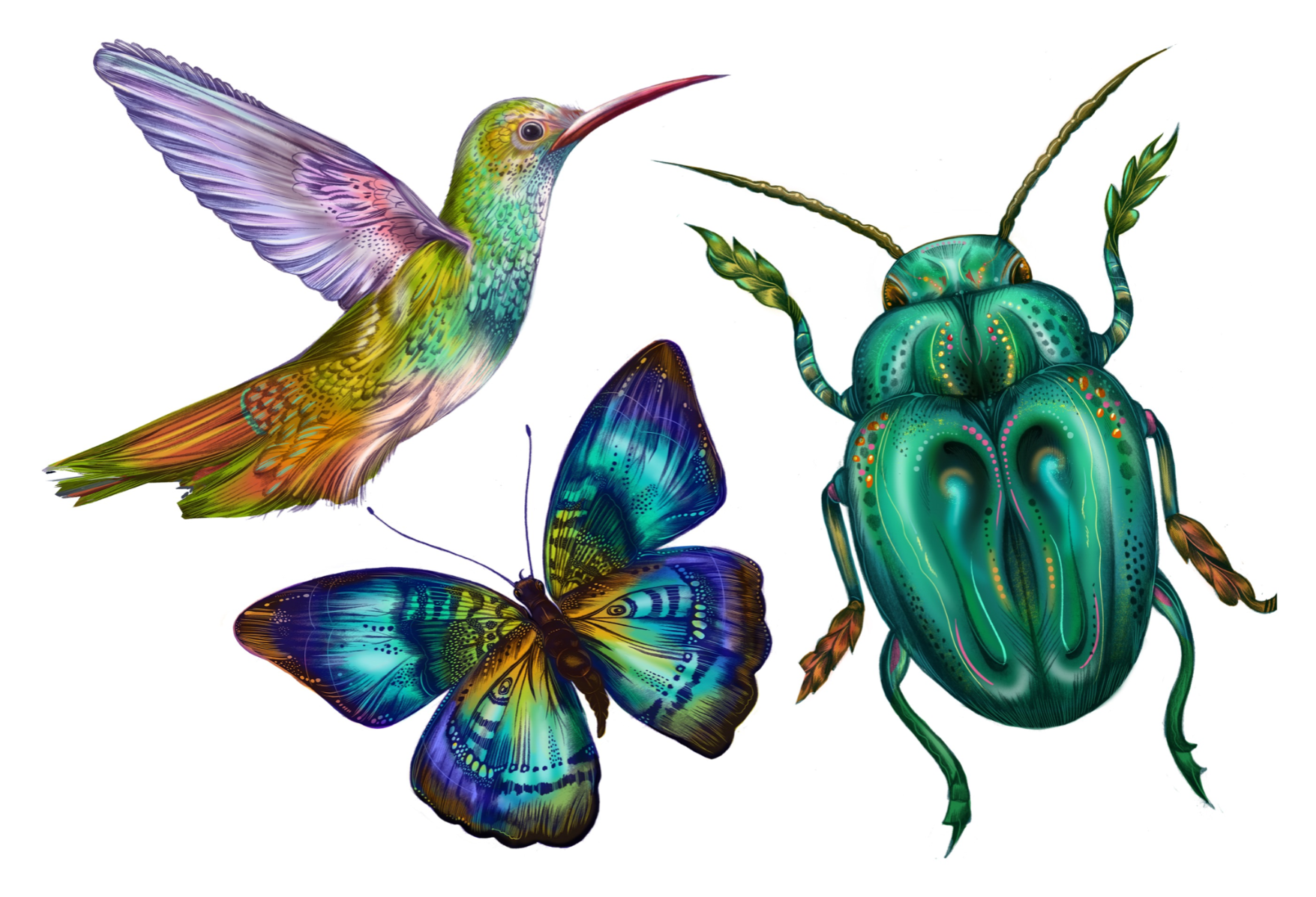 Mythical animals: reimagining nature through abstraction and narrative